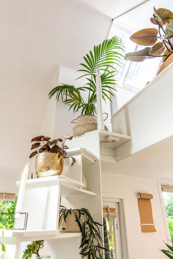 Boho Hill Waiheke Island Palm Beach Exterior foto