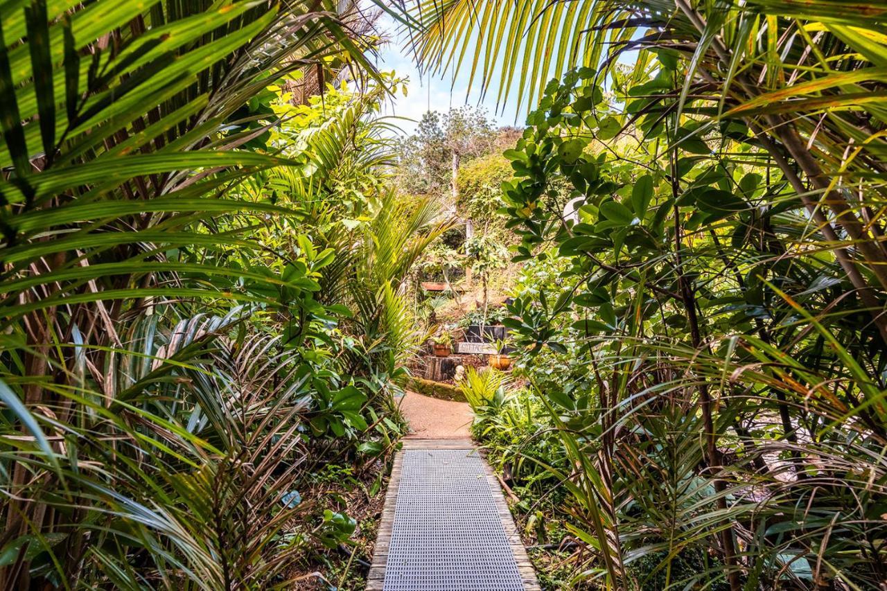 Boho Hill Waiheke Island Palm Beach Exterior foto