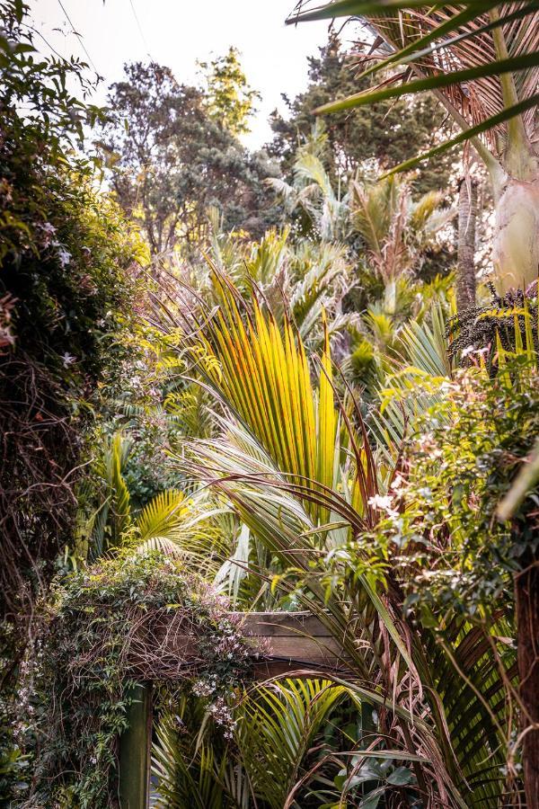 Boho Hill Waiheke Island Palm Beach Exterior foto