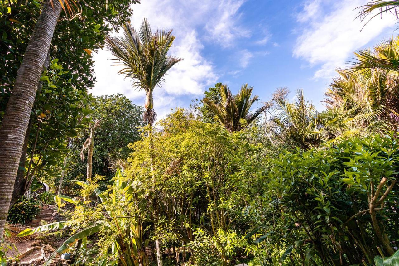 Boho Hill Waiheke Island Palm Beach Exterior foto