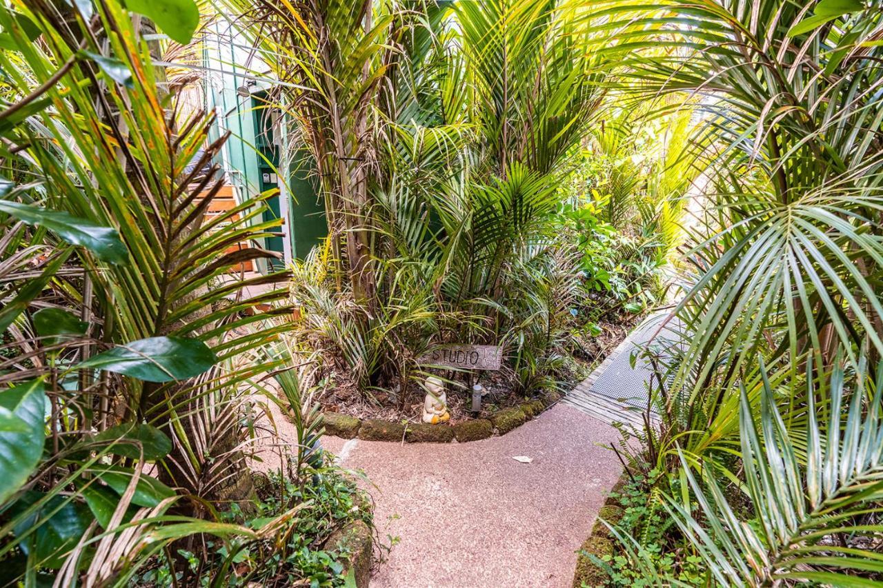 Boho Hill Waiheke Island Palm Beach Exterior foto