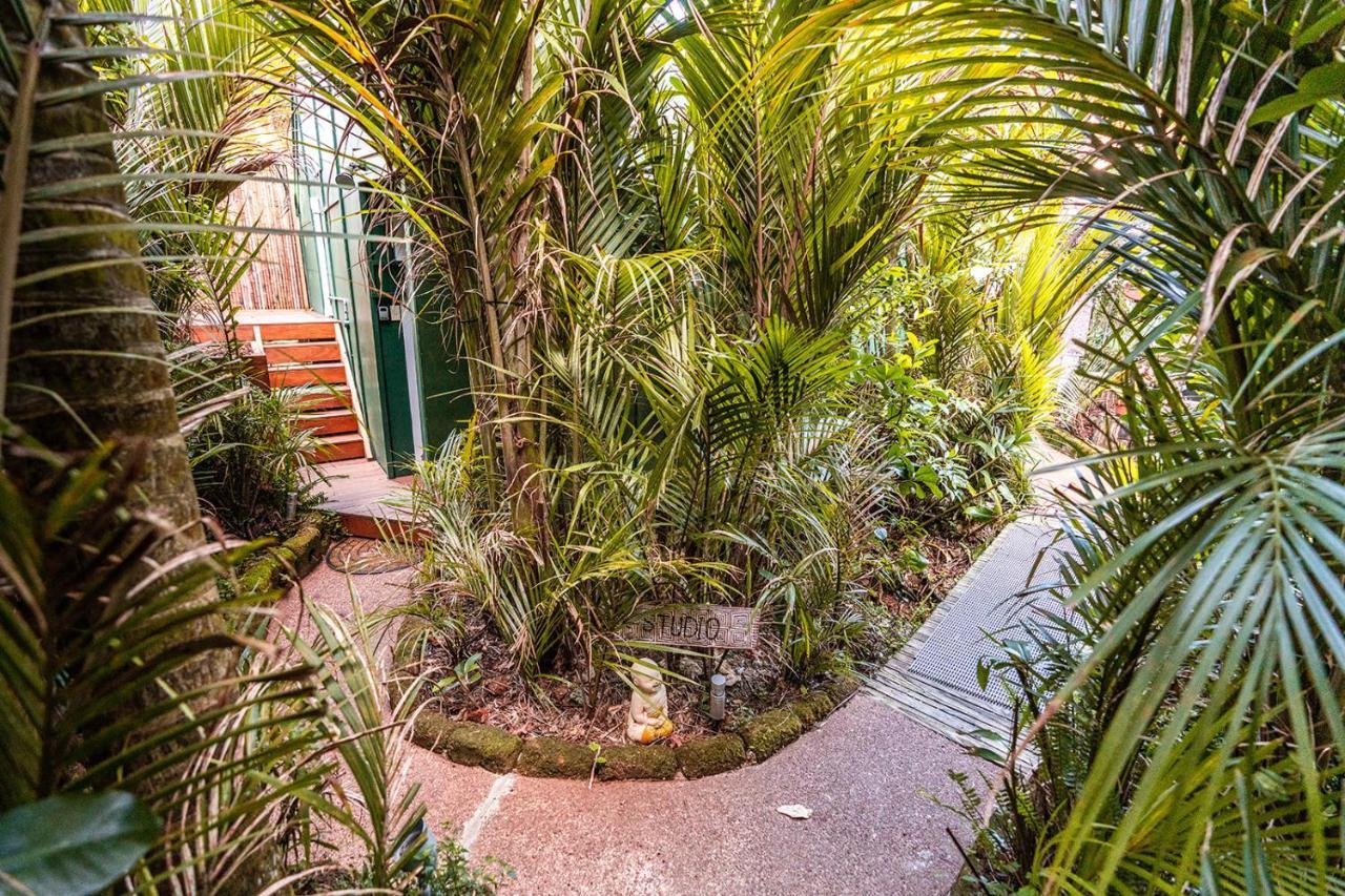 Boho Hill Waiheke Island Palm Beach Exterior foto